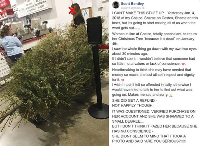 Woman returned Christmas tree to Costco after Christmas